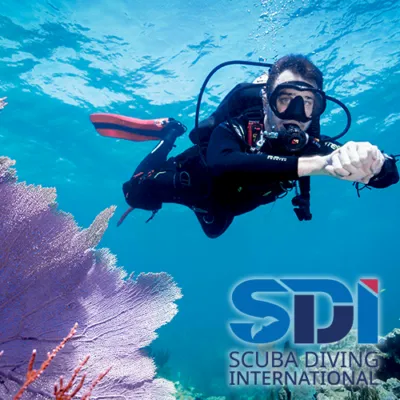 SDI Marine Ecosystems Awareness Diver Course