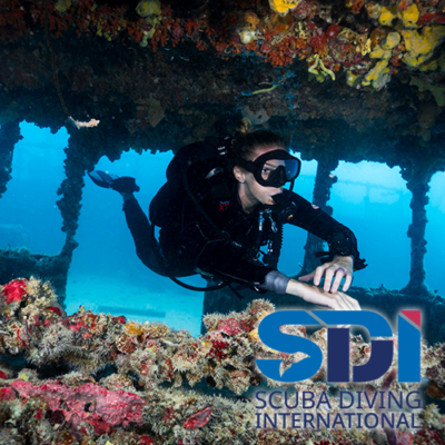 SDI Wreck Diver Course