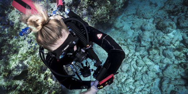 SDI Computer Diver
